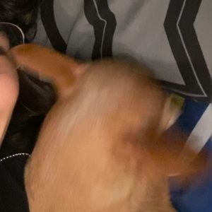 Meet your Posher, Reina